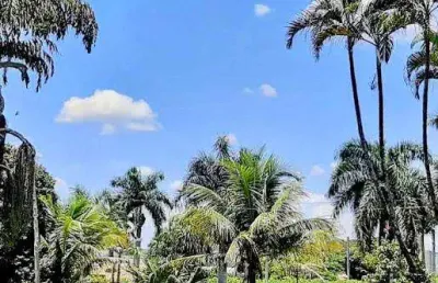 Sítio para venda em jaguariúna, pinhalzinho, 3 dormitórios, 3 banheiros, 4 vagas