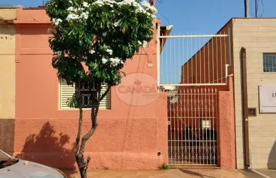 Casa - ribeirao preto - campos eliseos  - região zona norte