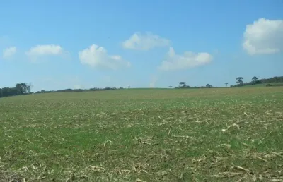 Lapa/ balsa nova, sede centenária, 45 alqueires ,110,31 hectares , planta 16 alqueires, à venda, ma