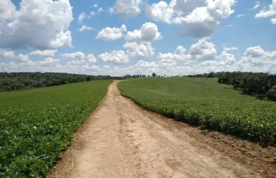 Lapa, fazenda 42 alqueires ou 101,64 hectares, um talhão, plantando 30 alqueires, à venda, zona rur