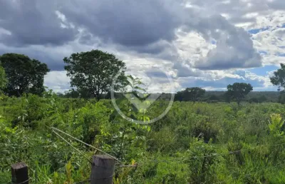 Área de 3.500 hectares em ribas do rio pardo codigo: 109099