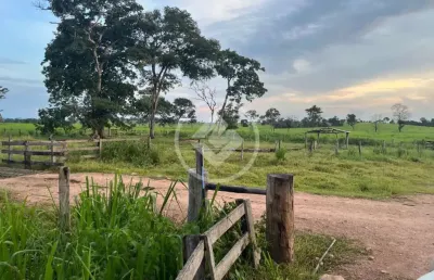 Propriedade rural - fazenda formada dupla aptidão - alcinópolis/ms codigo: 119020