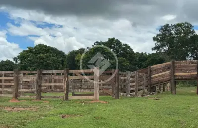 Fazenda à venda na Corguinho, s n, Centro, Corguinho