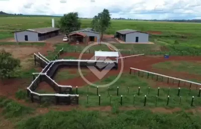 Haras completo com ótima localização e estrutura. codigo: 108926
