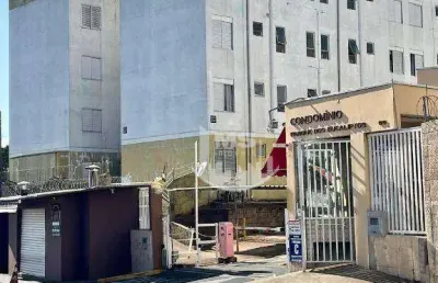 Apartamento com 2 dormitórios à venda, 50 m² por r$ 215.000,00 - vila padre manoel de nóbrega - campinas/sp