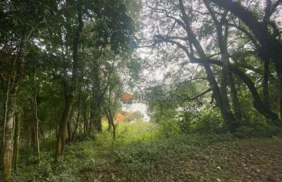 Chácara com 5 dormitórios à venda, 24200 m² por r$ 990.000,00 - ribeirão barragem - campina grande do sul/pr