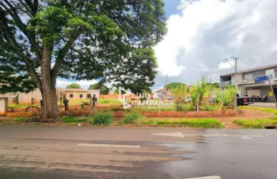 Terreno comercial à venda, 871 m² por r$ 700.000 - centro - londrina/pr