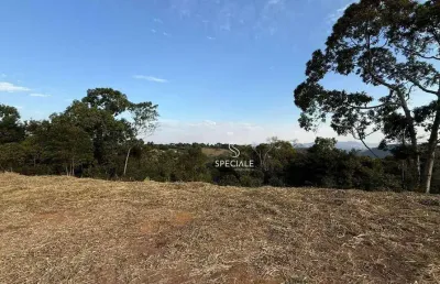 Terreno à venda, 3000 m² por r$ 450.000,00 - villagio da serra - juiz de fora/mg