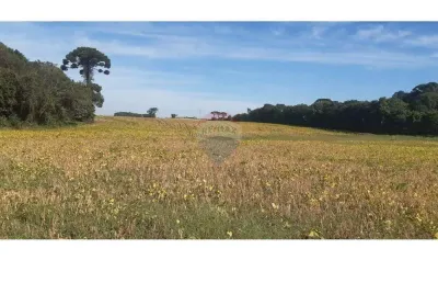 Terreno comercial à venda na Rua Arcidio Claudino Barbosa, s/nr, Campo Largo da Roseira, São José dos Pinhais