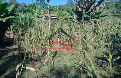 Fazenda para venda - 15 hectares - desembargador otoni, diamantina/mg