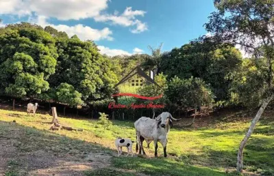 Fazenda para venda - 110 hectares - senador mourão (diamantina)/mg