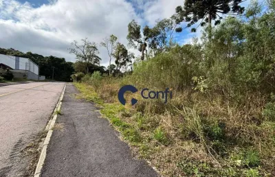 Terreno à venda, 490 m² por r$ 290.000 - jardim mata verde - mandirituba/pr