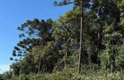 Terreno à venda, 12.425 m² por r$ 135.000 - barco - avencal - mandirituba/pr