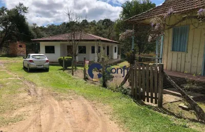 Chácara à venda, 8172 m² por r$ 1.200.000,00 - lagoa dos ferreiras - mandirituba/pr