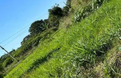 Terreno à venda, 216 m² por r$ 60.000,00 - avenida parque - bady bassitt/sp