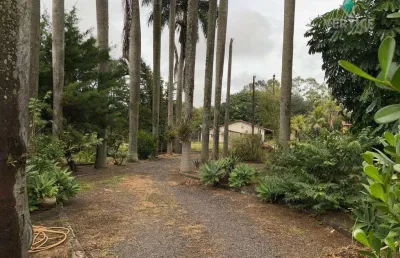 Chácara com 3 dormitórios à venda, 6000 m² por r$ 1.800.000 - loteamento san fernando valley - são josé do rio preto/sp