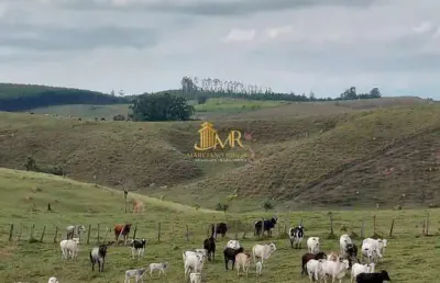 Chácara / sítio à venda na Estrada  Das Posses, s n, São Dimas, Guaratinguetá