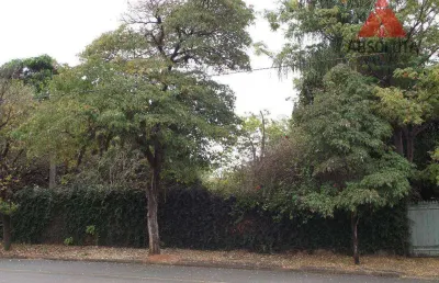 Terreno residencial à venda, jardim bela vista, americana.