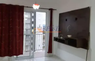 Apartamento à venda com 3 dormitórios, 72m² - jundiaí