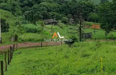 Sítio em conjunto habitacional jamile dequech, londrina/pr