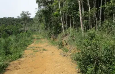 Área ideal para reflorestamento e ou chácara de lazer