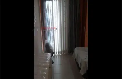 Residential / sobrado a venda , imóvel jardim aricanduva - ref. 1156