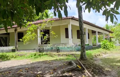 Goiana, granja com 02 hectares, piscina, açude, diversos tipos de frutas e plantas