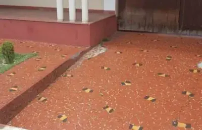 Casa com 3 quartos à venda na Vila Camilópolis, Santo André 