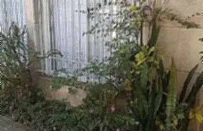 Casa com 4 quartos à venda no Jabaquara, São Paulo 