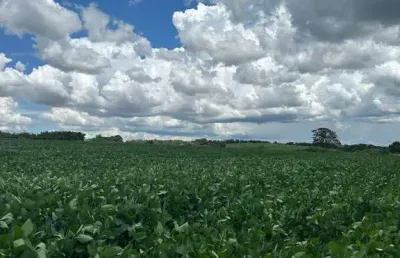Ótima área industrial na rodovia limeira / arthur nogueira