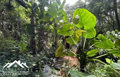 Terreno à venda na Área Rural, Dos Frades, Limeira