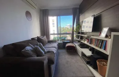 Apartamento com 3 quartos para alugar no Jardim Mauá, Novo Hamburgo 