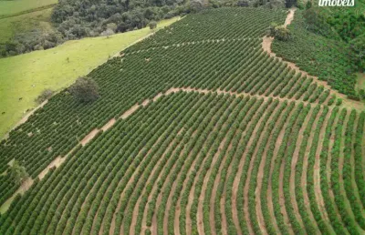 Fazenda à venda na Fazenda Roseirinha, Zona Rural, Bandeira do Sul