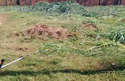 Terreno à venda na Rua 1, Parque Atalaia, Cuiabá