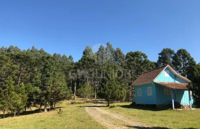 Chácara / sítio com 3 quartos à venda na laranjeiras, 14000, centro, campo alegre por r$ 1.500.000