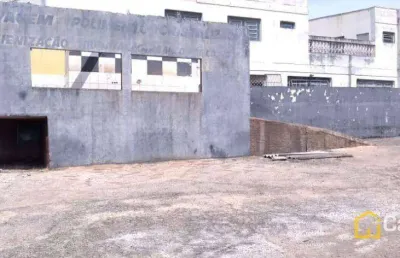 Terreno para alugar, 800 m² por r$ 4.000,00/mês - jardim ipiranga - americana/sp