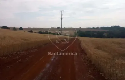 Terreno para alugar em londrina região leste de londrina