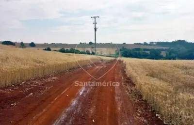 Terreno comercial para alugar na Rua Três, --, Património Regina, Londrina