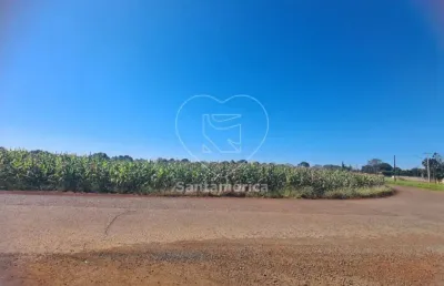Terreno à venda em cambé - 23.000m² para construção ou investimento