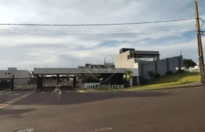 Casa em condomínio fechado com 4 quartos à venda na Rua Nelson Brunelli, --, Parque Tauá, Londrina