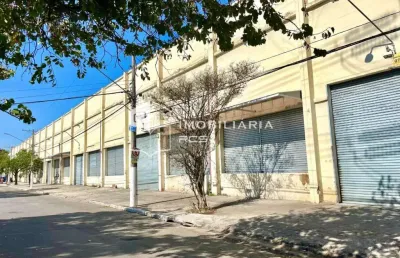 Galpão para aluguel, vila leopoldina, são paulo - ga4446