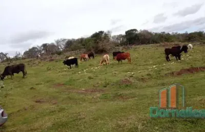 Chácara / sítio à venda no santa lúcia do piaí, caxias do sul  por r$ 1.200.000