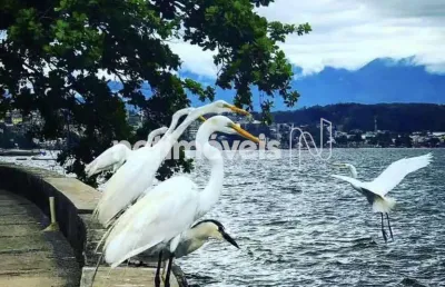 Apartamento com 1 quarto à venda na Praia da Ribeira, Ribeira, Rio de Janeiro