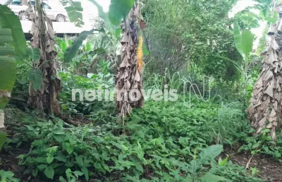 Terreno à venda no Jardim Guanabara, Rio de Janeiro 