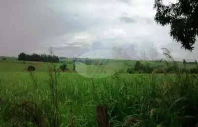 Fazenda à venda na avenida orlando vedovello, s/n°, parque da represa, paulínia por r$ 10.700.000