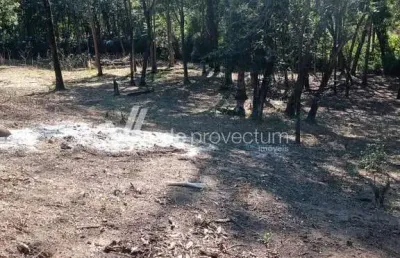 Terreno à venda na pedro gonzaga de melo, s/nº, paiol velho, vinhedo por r$ 2.115.000