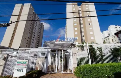 Apartamento com 3 quartos para alugar na rua hermantino coelho, 691, mansões santo antônio, campinas, 70 m2 por r$ 3.100