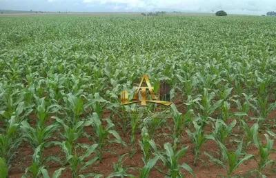 Fazenda para venda na região de marilia - sp - confira!!!