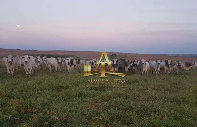 Fazenda com 1 sala à venda na Área Rural, 1130, Área Rural de Marília, Marília