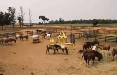 Fazenda com 3 salas à venda na Rua Aníbal Lencione, 42, Residencial Astória, Tatuí